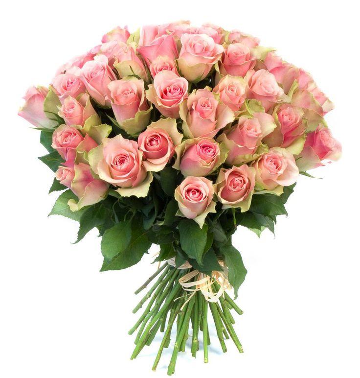 Enchanted Garden: A Floral Embrace